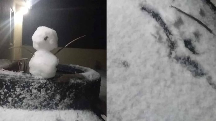 Cae primera nevada en la zona montañosa de Nuevo León