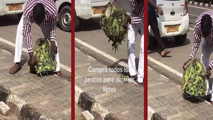 Hombre compra jaula llena de periquitos para dejarlos libres