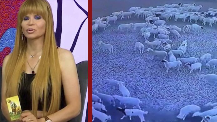 Mhoni Vidente