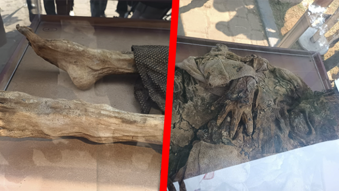 Se abrirá espacio para la exhibición de 13 momias en el Panteón Municipal de Morelia