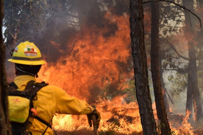 Se destinarán 10 millones de pesos para la prevención de incendios forestales en Michoacán