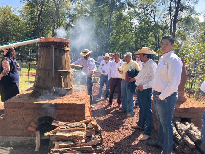 Mezcal michoacano puede ser un producto ecológicamente responsable