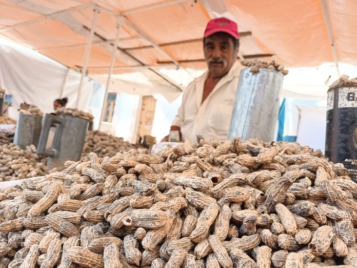 Manuel Bedolla tiene como único sustento su venta de cacahuates desde hace 20 años
