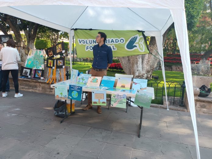 Actividades recreativas para chicos y grandes en Plaza de Armas