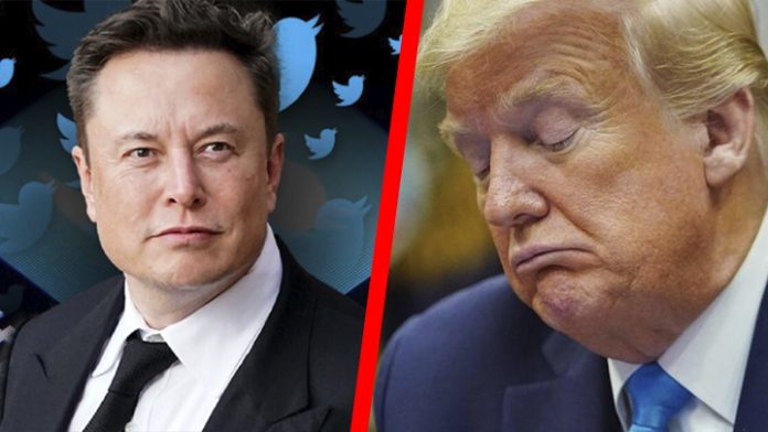 Elon Musk hace encuesta para decidir si Donal Trump regresa a Twitter