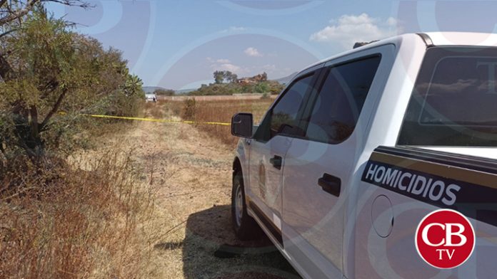 Hallan a pareja ejecutada en una finca de Tarimbaro