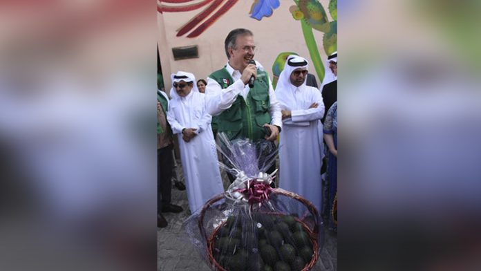 El canciller Ebrard atestigua llegada de aguacate mexicano a Qatar
