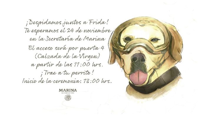 SEDENA: Rinde homenaje a Frida, la perrita rescatista