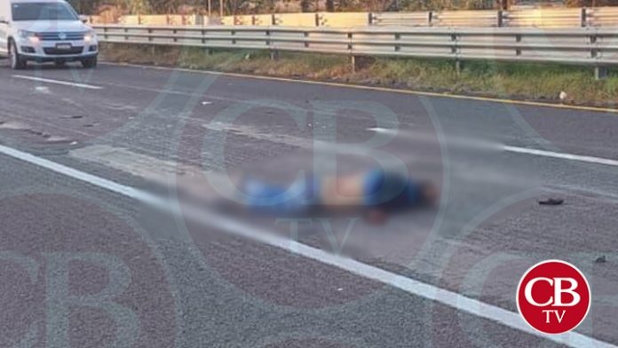 Quería cruzar el camino y lo aplasta un auto