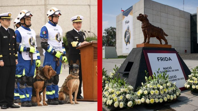 SEMAR despide a Frida con ceremonia luctuosa