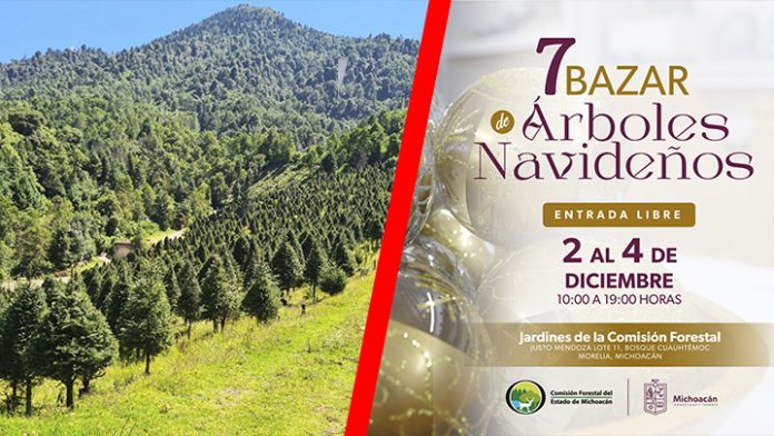 Ya casi llega el séptimo Bazar de Árboles de Navidad