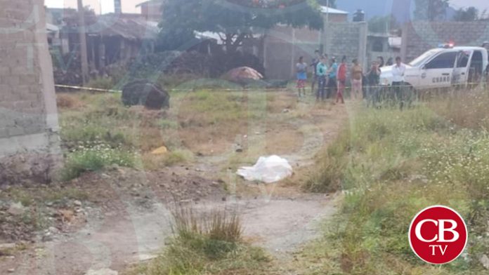 Le dan muerte a balazos a cortador de aguacate