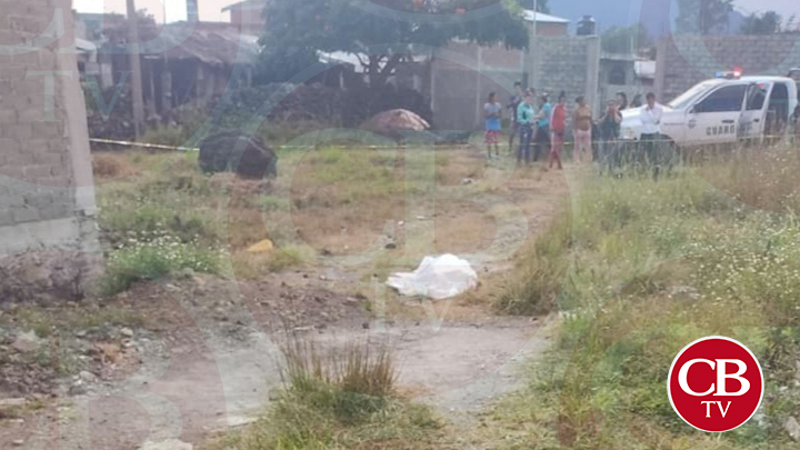 Le dan muerte a balazos a cortador de aguacate Le dan muerte a balazos a cortador de aguacate