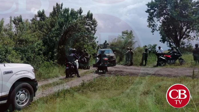 Hallan cadáver que era comido por animales en Penjamillo