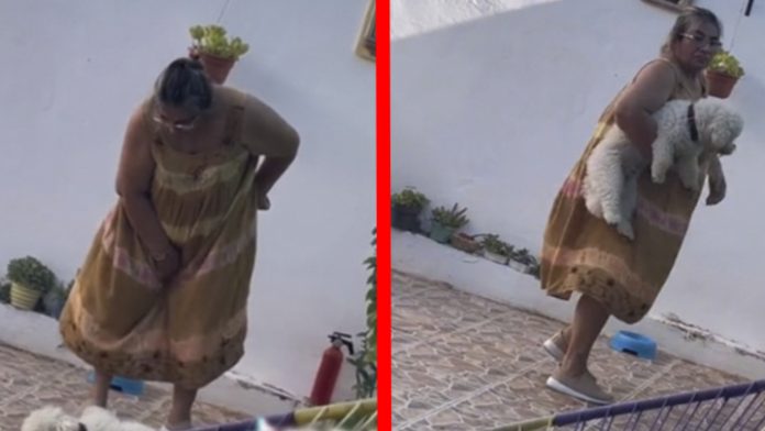 Señora se vuelve viral por regañar a sus perritos para que coman bien