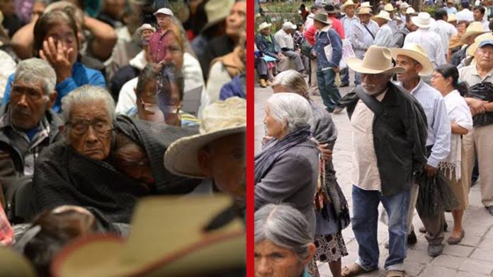 273 visas de turistas fueron otorgadas a adultos mayores para brindarles un reencuentro familiar