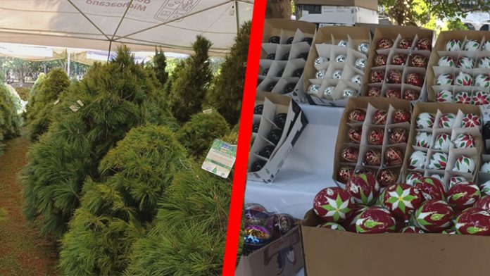 Aproximadamente 1500 pesos cuesta poner un árbol de navidad este año