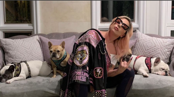 Condenan a 21 años al ladrón de los perros de Lady Gaga