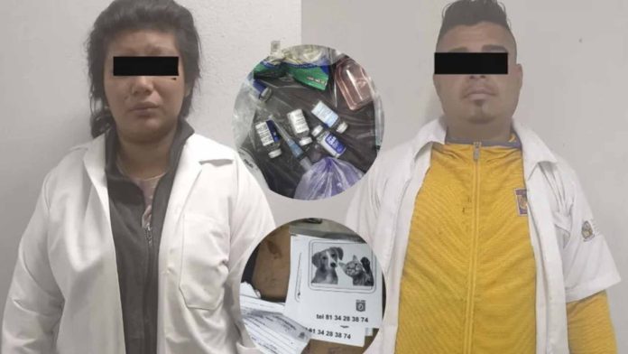 Pareja aplicaba vacunas falsas a perros en Nuevo León; ya fueron detenidos