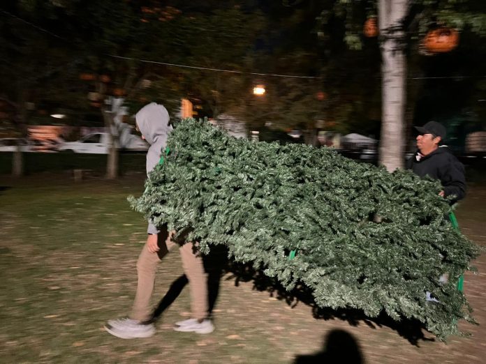 Árbol de navidad de 20 metros será instalado en la villa navideña