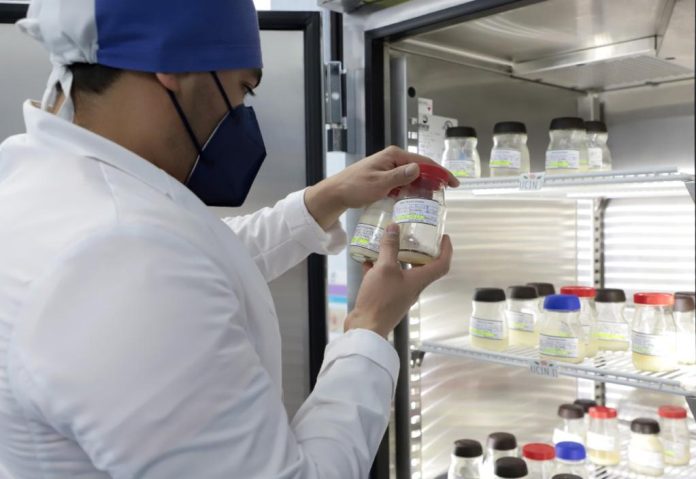 233 bebés fueron alimentados por el Banco de Leche Materna del Hospital en 2022