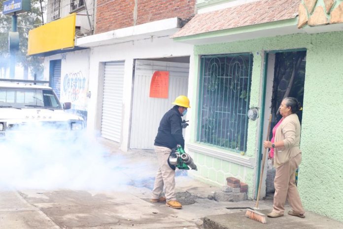 Desciende 25 por ciento los casos de dengue en Michoacán
