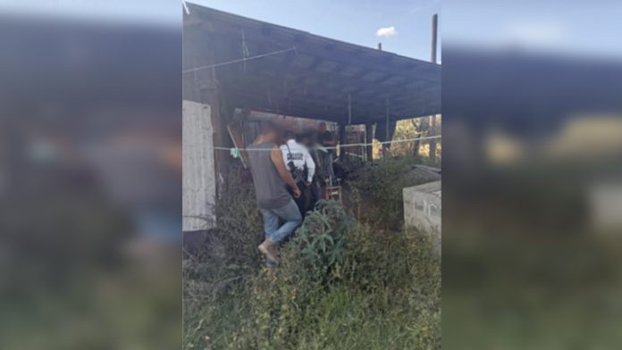 Policía Municipal de Pátzcuaro, frustra robo en la colonia Ibarra y detiene al sospechoso