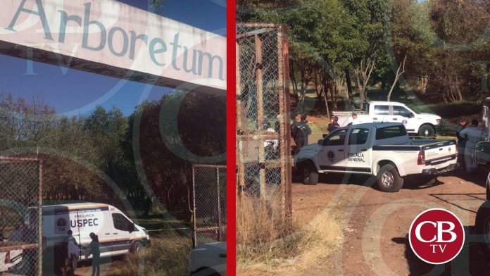 Hallan ejecutado atrás de bodega Aurrera de Tres Puentes