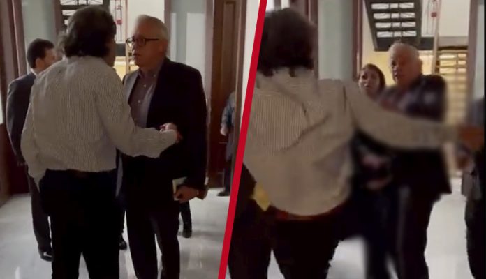 Diputados se agarran a golpes por Ley de Protección y Bienestar Animal