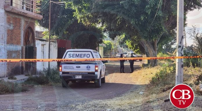Lo matan a balazos y dejan a lado de un árbol