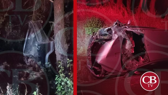 Camioneta cae a barranco y cuatro personas viven de milagro