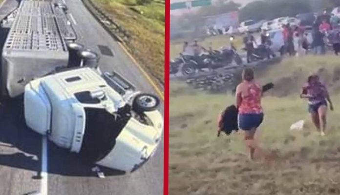 Rapiña de reses tras volcadura de tráiler en Chiapas
