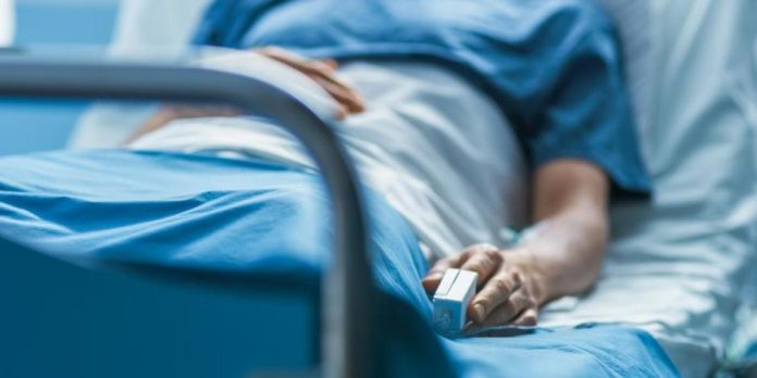 4 casos graves de rabia humana acechan a México