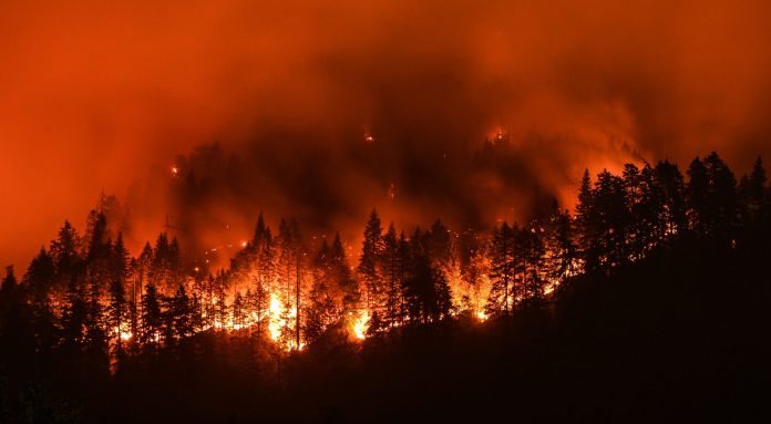 Aguililla se prepara para prevenir incendios forestales