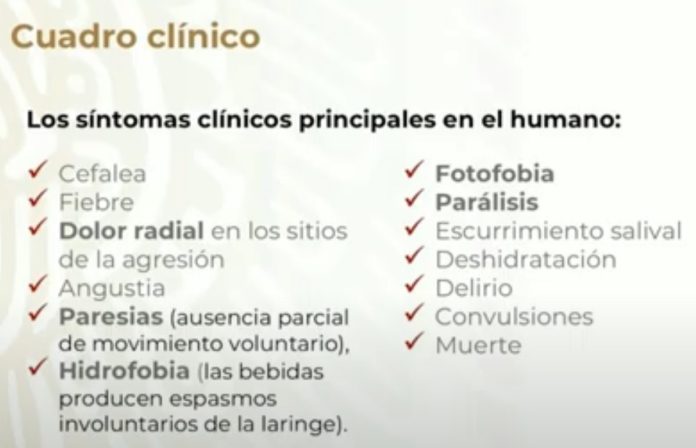 Signos y síntomas de la rabia humana