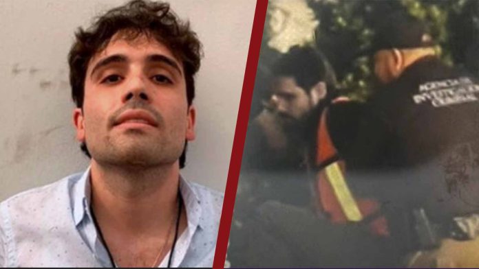 Difunden la primera foto de la detención de Ovidio Guzmán