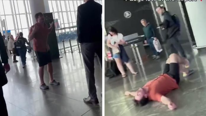 VIDEO: Hombre colapsa al enterarse que la aerolínea perdió a sus 4 perritos
