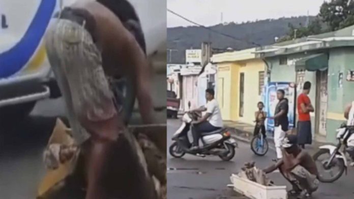 Hombre desenterró a su madre por no haberle dejado herencia