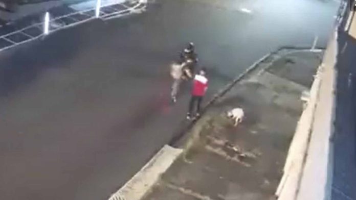 Perrito pierde una pata por salvar a su dueño de ser asaltado