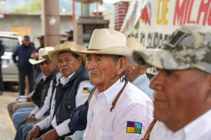Bedolla apuesta al desarrollo de nuestros pueblos originarios: Torres Piña