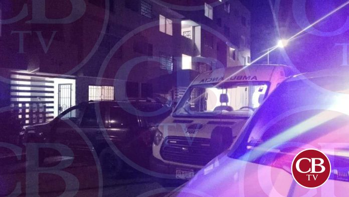 Perros se comen la cara de su dueña en Morelia