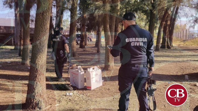 Persisten las peleas de gallos en Michoacán