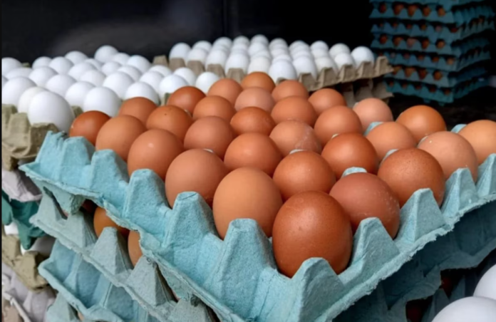 ¡Huevos!