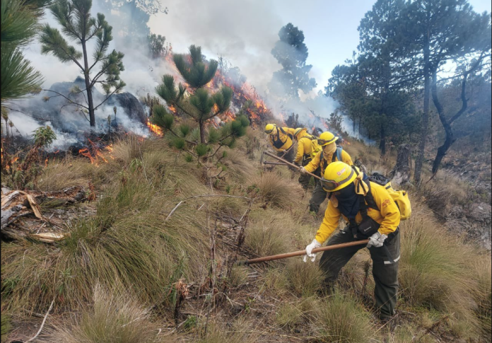 Incendio consume el Pico de Orizaba; continúan trabajos de rescatistas para sofocarlo