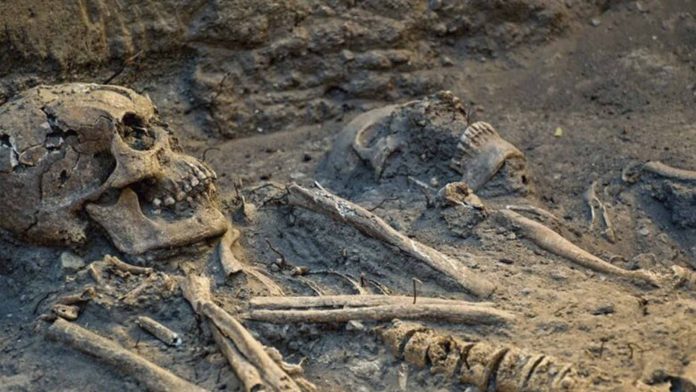 Hallan cementerio de la época del virreinato en el bosque de Chapultepec