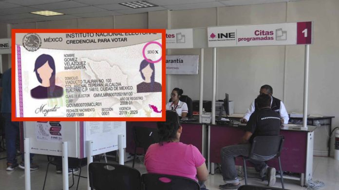 INE incorporará a personas no binarias en la Credencial para Votar