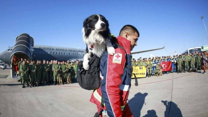 Llegan a Turquía equipos de rescate y binomios caninos de México