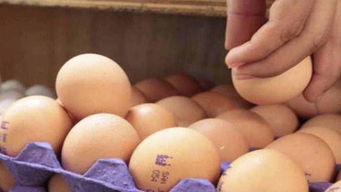 Profeco señala que durante el invierno las gallinas ponen pocos huevos; eso encarece el alimento