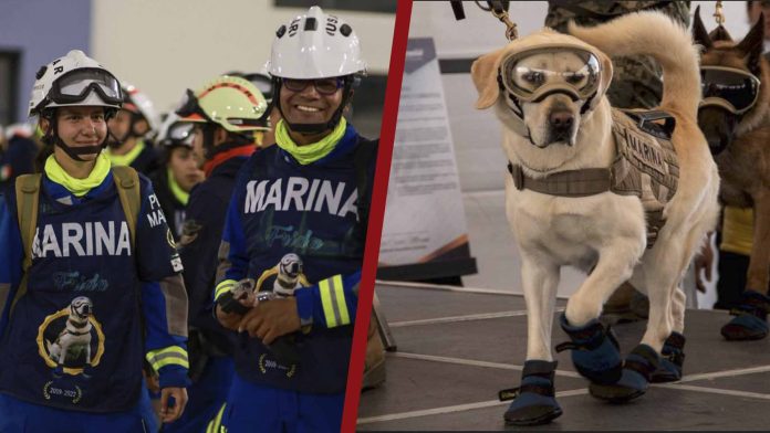 Rescatistas mexicanos viajan a Turquía usando camisetas de la perrita Frida