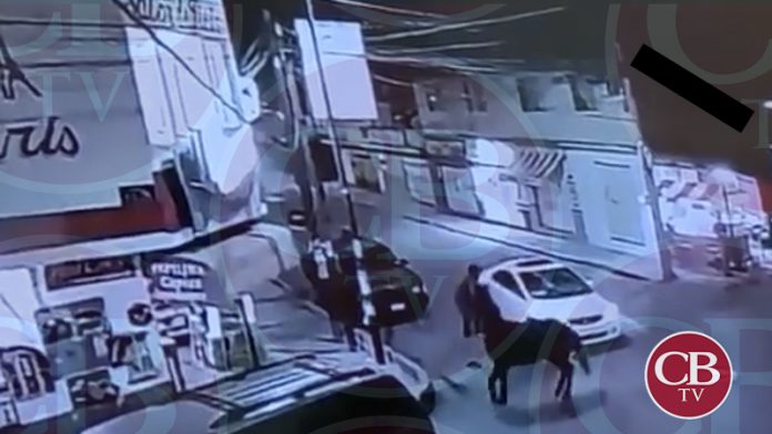 Lo que faltaba, caballo embiste a vehículo en Morelia